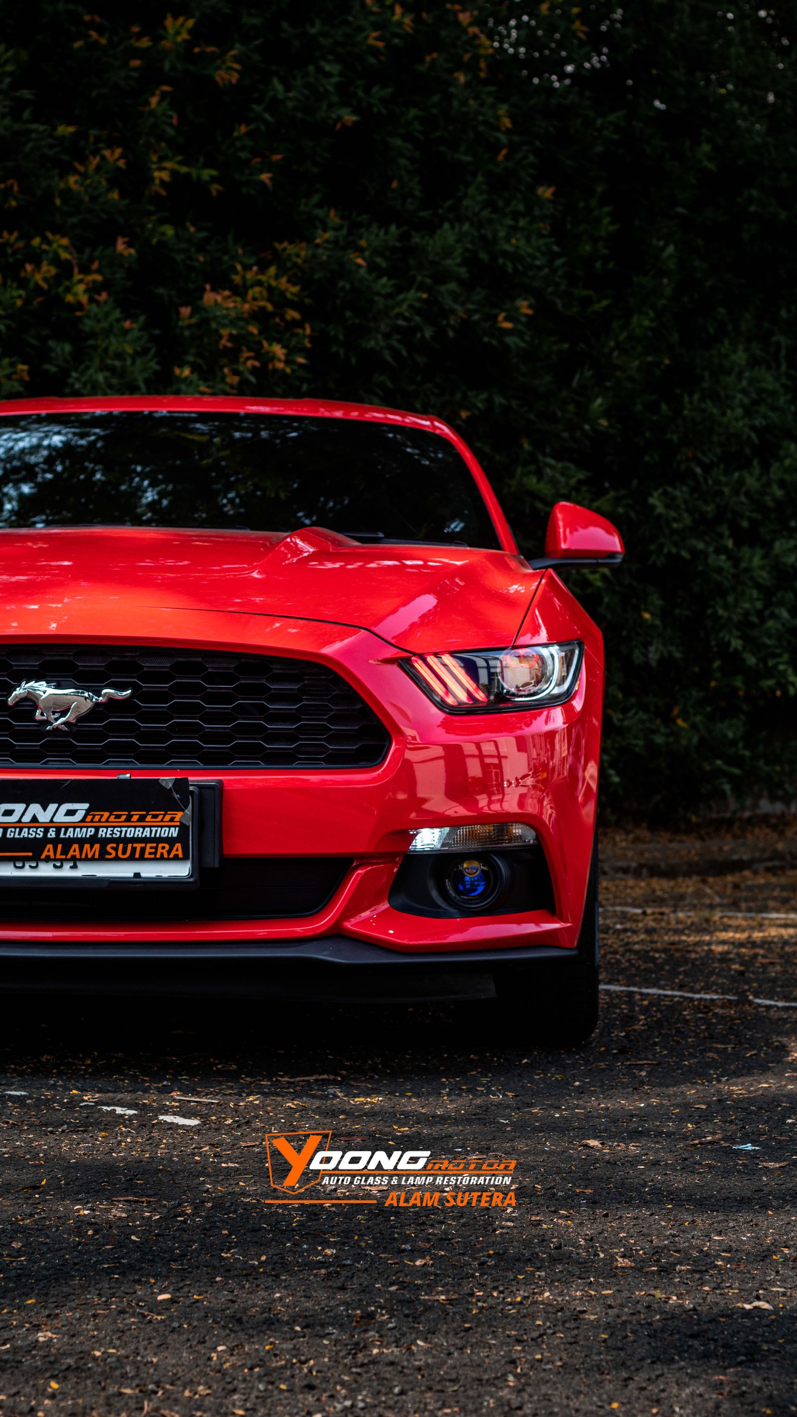 American Muscle Meets Ultimate Lighting