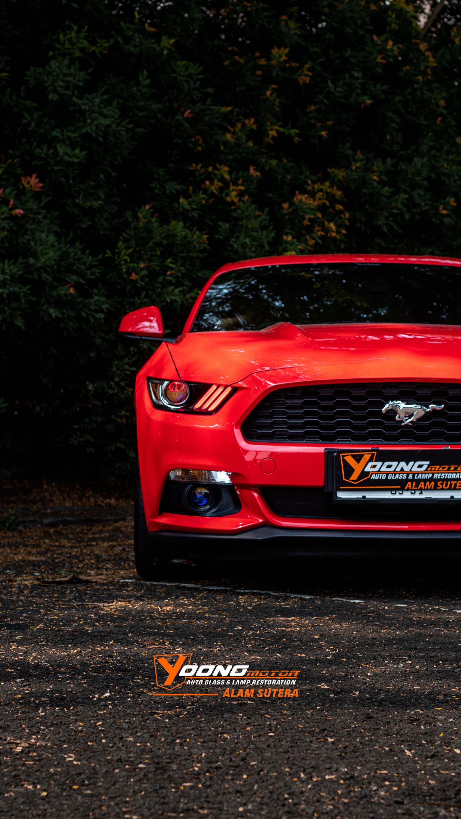 American Muscle Meets Ultimate Lighting