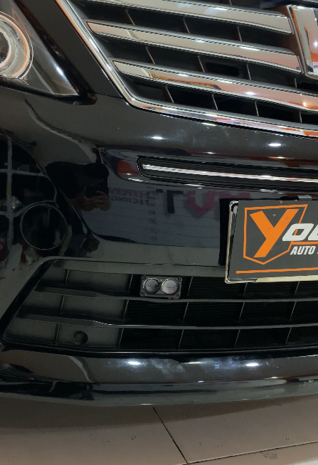 Alphard dengan Mini Projie