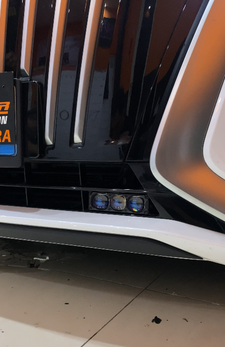 Denza D9 dengan Mini Projie