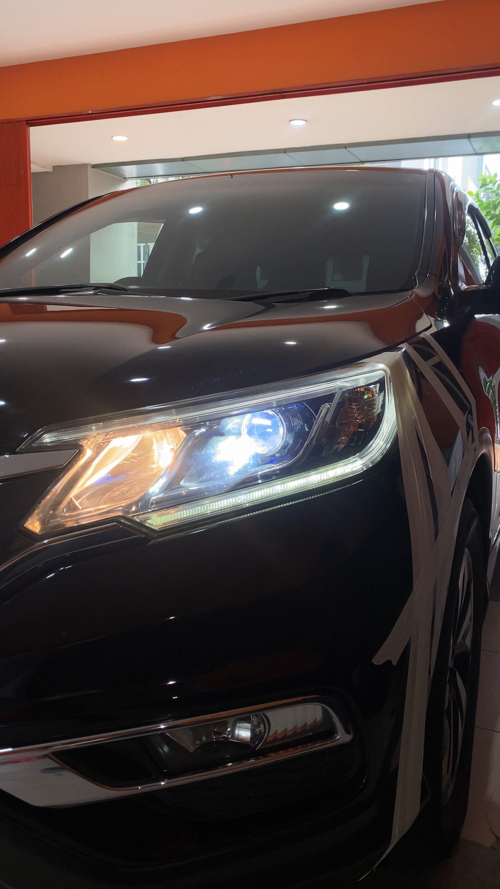 Luxury Looks, Lethal Vision